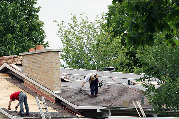 Best Roof Gutter Cleaning  in Wye, MT